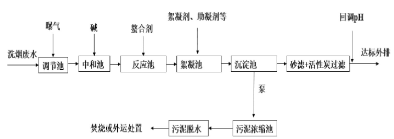 垃圾焚燒電廠洗煙廢水處理技術(shù)